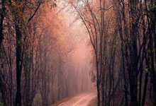 28圈：全新奖励机制+融合升级，长三角钻石赛玩出了新花样.