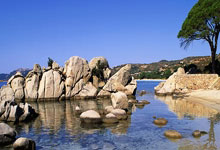 28圈：“意韵由你”，米兰冬奥准备好了吗？环球时报.